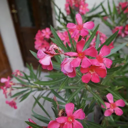 Apartman Casa Traquandi *
